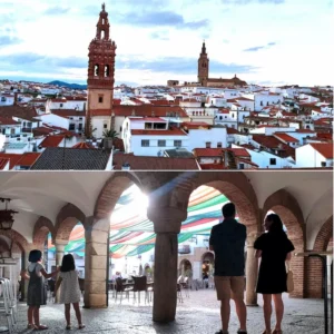 Vista de visita combinada