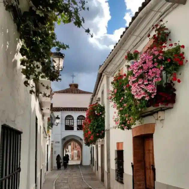 Detalle fachadas Calle Jerez