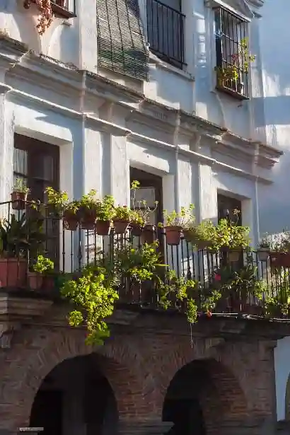 Balcón con macetas en Zafra