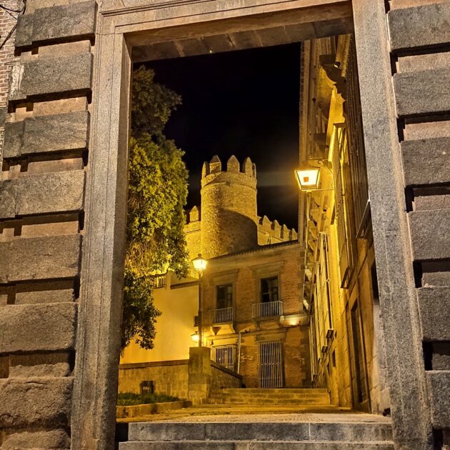 Vista del Alcazar al caer la noche