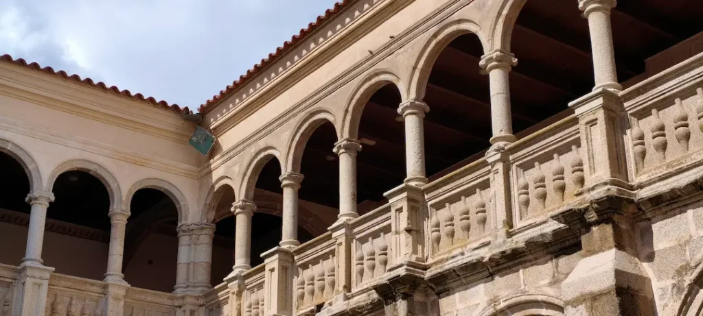 MVIMG 20260308 134249